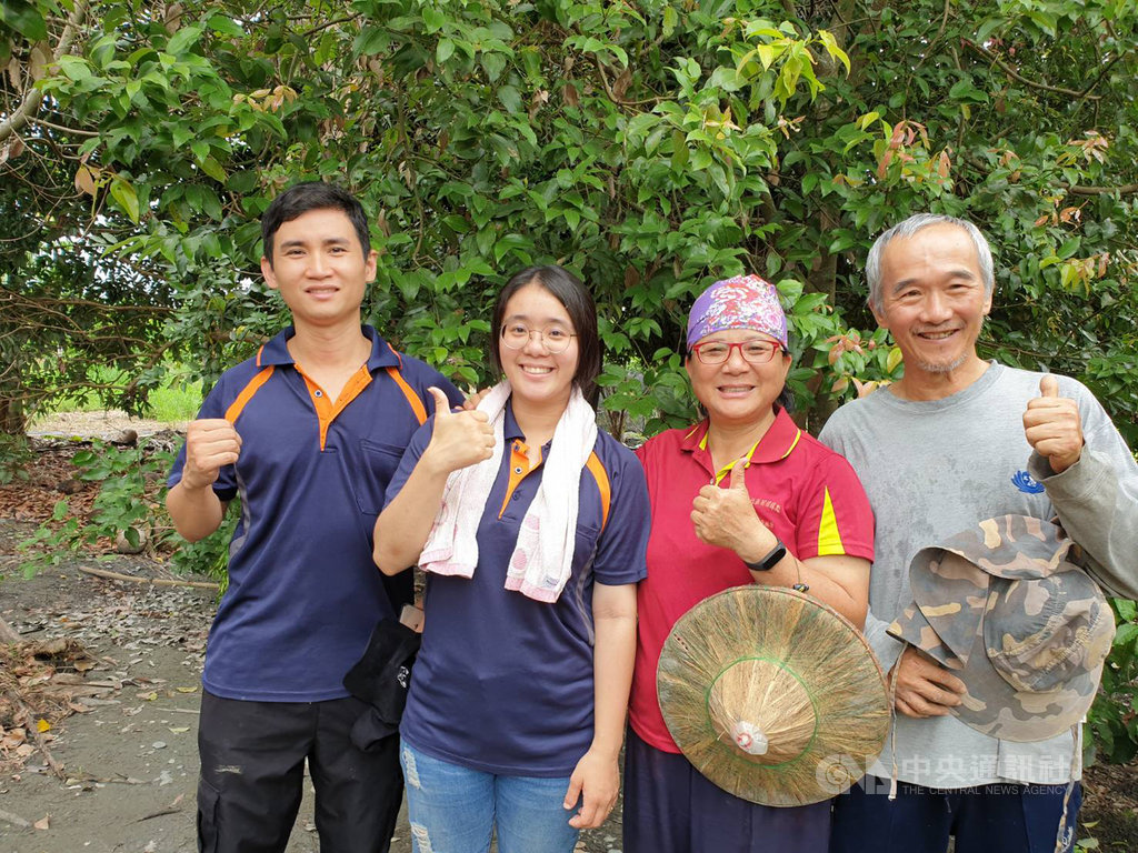 屏東縣長治鄉農民顏金珠(右2)栽種土肉桂10多年,終於在今年取得台灣目前唯一的土肉桂產銷履歷集體驗證。(農糧署提供)中央社記者郭芷瑄傳真 109年6月2日
