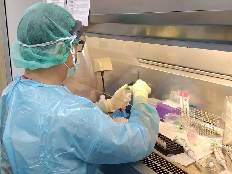 指揮中心考量國際研究結果,將武漢肺炎確診者解隔離條件從現行三採陰改為二採陰,且需符合發病已達10天且症狀緩解至少3天。圖為武漢肺炎病毒核酸檢驗。(中央社檔案照片)