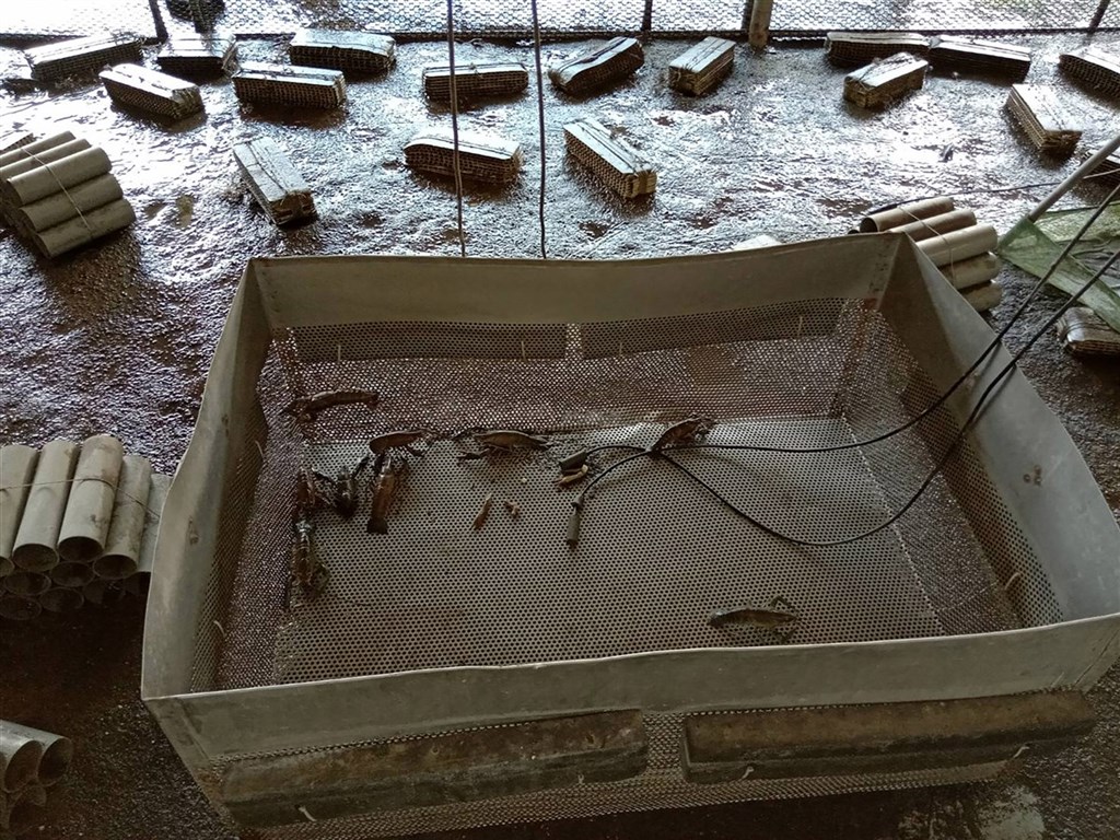 高雄市政府動物保護處在田寮區採驗一處螯蝦場,結果檢出十足目虹彩病毒陽性反應,動保處隨即派員前往收購螯蝦,送化製場銷毀。(高雄市動保處提供)中央社記者王淑芬傳真 109年6月17日