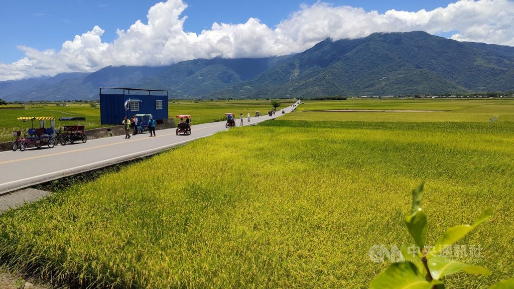 公路總局評估端午節連續假將有人潮湧入台東,主要聯外道南迴、海岸、縱谷3條公路將採取交通管制,台東縱谷台9線的初鹿牧場、金城武樹附近、池上街道、關山街道等,都是易壅塞路段。中央社記者盧太城台東攝 109年6月18日