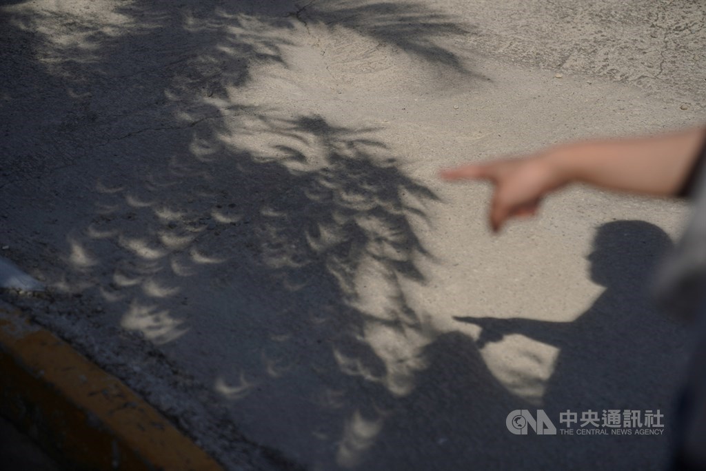 天文盛事日環食21日下午登場，台灣本島下午2時48分起陸續進入日食可見範圍內，樹影投射出日食光影。中央社記者徐肇昌攝　109年6月21日