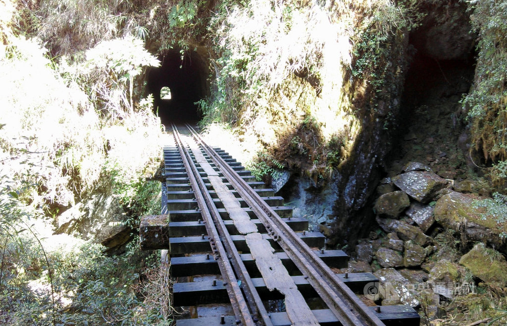 阿里山森林遊樂區林業鐵路眠月線,自九二一地震後,封閉停駛至今,因沿途具有獨特的舊鐵道遺跡,保留原始景觀,被稱為阿里山秘境。(嘉義林管處提供)中央社記者黃國芳傳真 109年6月24日