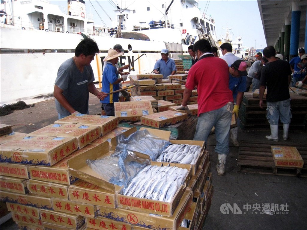 ECFA早收清單上路後,至今為產業界省下逾新台幣2000億元的關稅,但也有不少學者憂心,台灣經濟過度仰賴中國有風險。圖為早收清單內的秋刀魚外銷中國。中央社記者王淑芬攝 99年7月18日