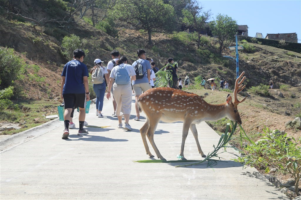 安心旅遊7月1日上路，自由行每人可享折抵住宿新台幣1000元優惠，交通部長林佳龍說，已有逾10萬人登錄。圖為馬祖北竿的大坵島。（中央社檔案照片）