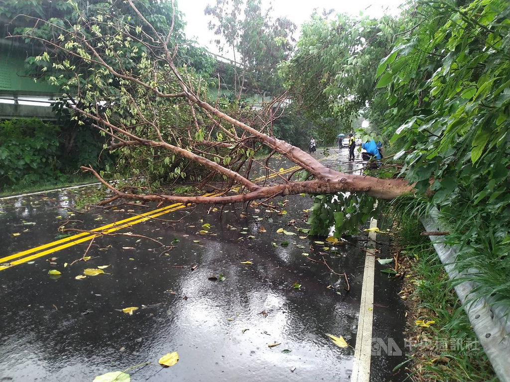 台中市消防局2日下午獲報,在南屯區筏子東街一段路旁有路樹突然倒塌,一名機車騎士疑遭壓傷,消防人員到場後發現一名女性機車騎士倒臥路樹旁約5公尺處,失去生命跡象,緊急送醫搶救。(台中市消防局提供)中央社記者蘇木春傳真 109年7月2日