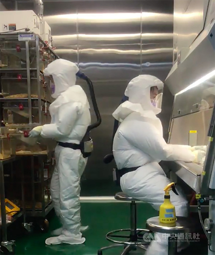 動物實驗是武漢肺炎疫苗研發關鍵環節,但因操作的是感染性極高的病毒,實驗人員必須穿上彷彿「太空衣」的防護裝備,全程不吃不喝也無法上廁所,承受龐大身心壓力。(國衛院提供)中央社記者張茗喧傳真 109年7月2日
