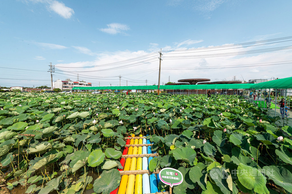 2020桃園蓮花季開幕式5日登場,這是疫情解封後桃園轄區內第一個大型活動,希望打造出不同風格的國際拍照景點,營造出遊新樂趣。(桃園市政府提供)中央社記者邱俊欽桃園傳真 109年7月5日