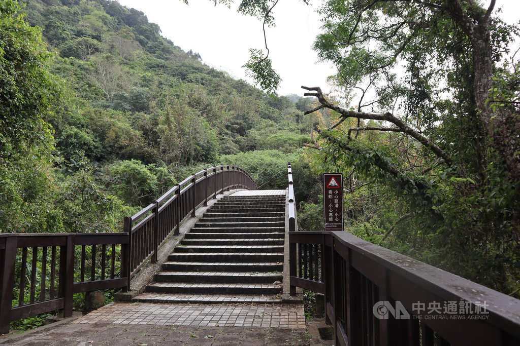 前往羅山瀑布前的300公尺景觀步道,原本是木棧道,3年多前因為颱風土石崩落,且木棧道損害太嚴重而封閉,經過修復,今年6月21日才對外開放。中央社記者李先鳳攝 109年7月6日
