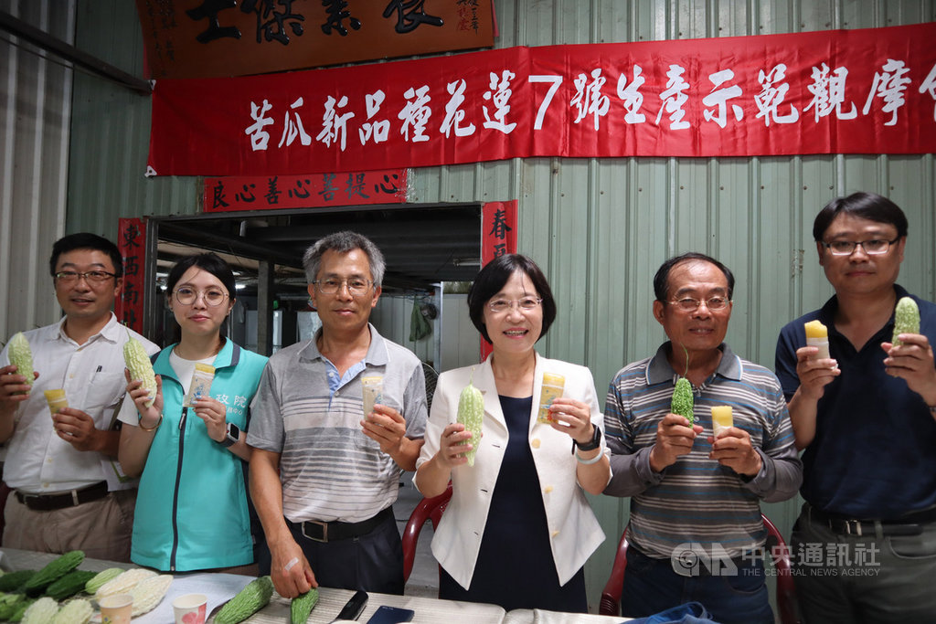 花蓮區農業改良場7日在壽豐鄉觀自在有機農場舉辦苦瓜新品種「花蓮7號」生產示範觀摩會,場長杜麗華(右3)介紹研發的苦瓜新品種,清涼退火口感佳,還能打成果汁、做成冰棒消暑。中央社記者李先鳳攝 109年7月7日