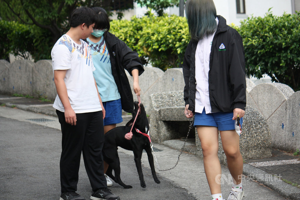 新北市淡水動物之家收容的小黑狗在因緣際會下,獲台北市立復興高中師生相中認養成校犬,由於深獲師生喜愛,就在全校票選下升格命名「復校長」,與師生互動熱絡。(新北市動保處提供)中央社記者王鴻國傳真 109年7月8日