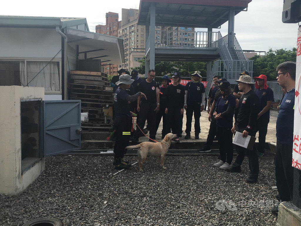 台南市政府消防局辦理儲備領犬員人力訓練,7日起一連3天移地楠梓搜救犬馴養中心訓練,由特搜分隊搜救犬隊的3名領犬員擔任教官,教授專業技能及責任感。(台南市消防局提供)中央社記者張榮祥台南傳真 109年7月9日