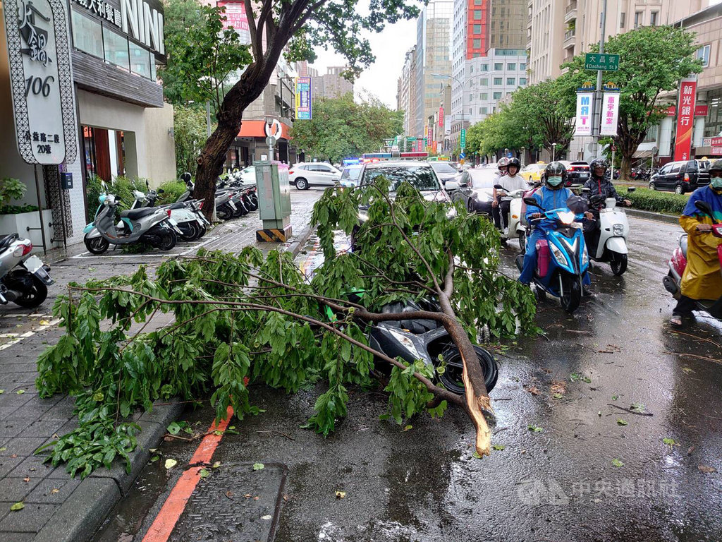 台中地區10日中午下大雨,一名男子騎機車行經南屯區一處路口,突遭倒塌的樹枝壓傷,消防局獲報立即前往救援。(警方提供)中央社記者蘇木春傳真 109年7月10日