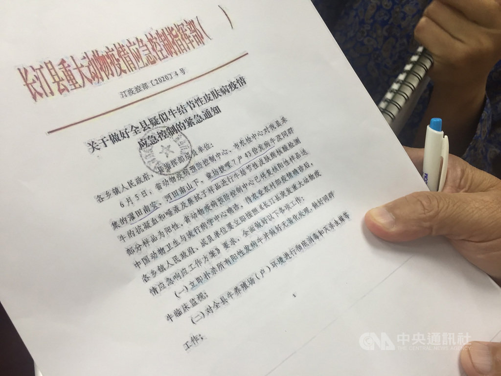 台灣牛結節疹首例現金門,農委會副主委黃金城10日指出,牛結節疹於2015到2016年在沙烏地阿拉伯、2017年在俄羅斯、2019年在中國發生;中國去年8月在新疆發現疫情時,有通報OIE;但今年6月初媒體報導(圖)已擴散到福建,則沒有通報OIE;判斷因為離金門很近,透過風吹蚊蠅飄入傳播。中央社記者楊淑閔攝 109年7月10日