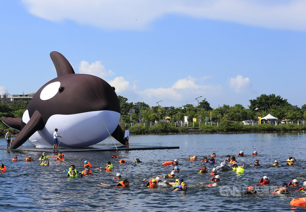 號稱全球最大的虎鯨裝置藝術「安平虎鯨Orca」,11日在多人伴游下,前進安平區東興洋行前水域,預定15日公開亮相。中央社記者張榮祥台南攝 109年7月11日