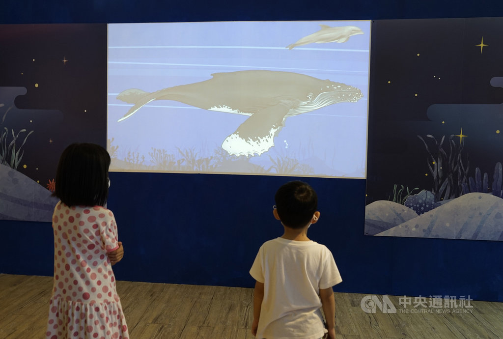 「河口鯨靈–馬祖鯨豚特展」11日起在馬祖民俗文物館登場,展場有許多可愛影像與互動裝置,幫助孩子認識鯨豚生物特性,吸引小朋友們專注觀賞。中央社記者邱筠攝 109年7月11日