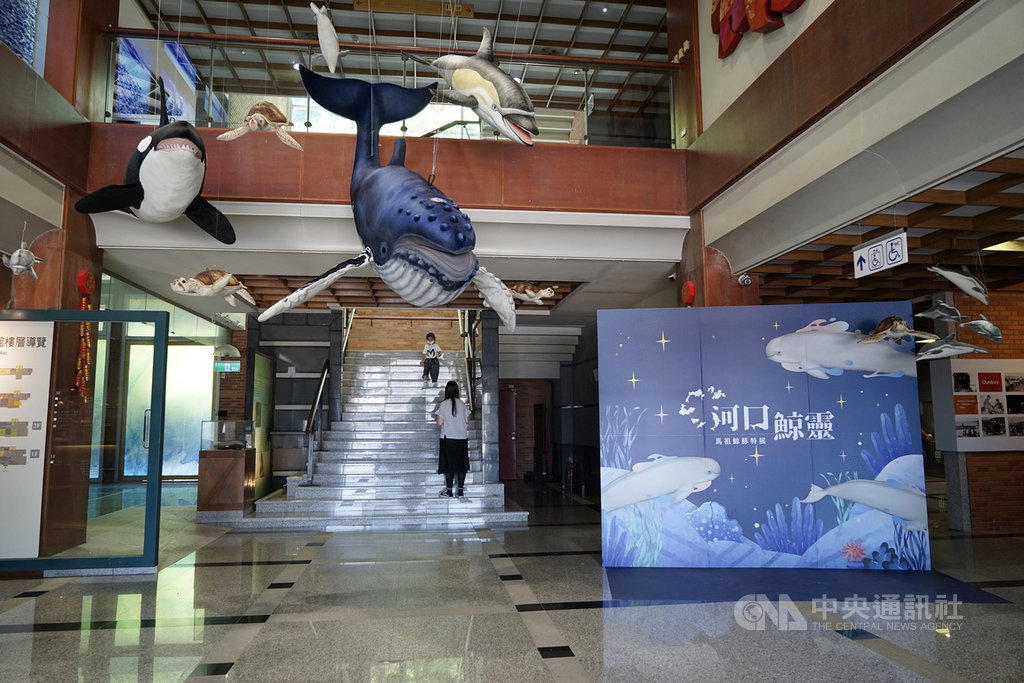 「河口鯨靈–馬祖鯨豚特展」11日登場,吸引許多親子朋友參與開幕活動,一起學習鯨豚知識。中央社記者邱筠攝 109年7月11日