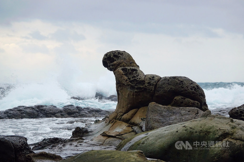基隆海豹岩為近來熱門打卡景點,由於缺乏管理單位,常有遊客攀爬拍照,基隆市政府14日表示,自然資產應屬於所有人民,市府已研議評估相關自然物的保護方式,更呼籲民眾勿攀爬、踩踏,共同愛惜珍貴自然地景。(基隆鳥會提供)中央社記者王朝鈺傳真 109年7月14日
