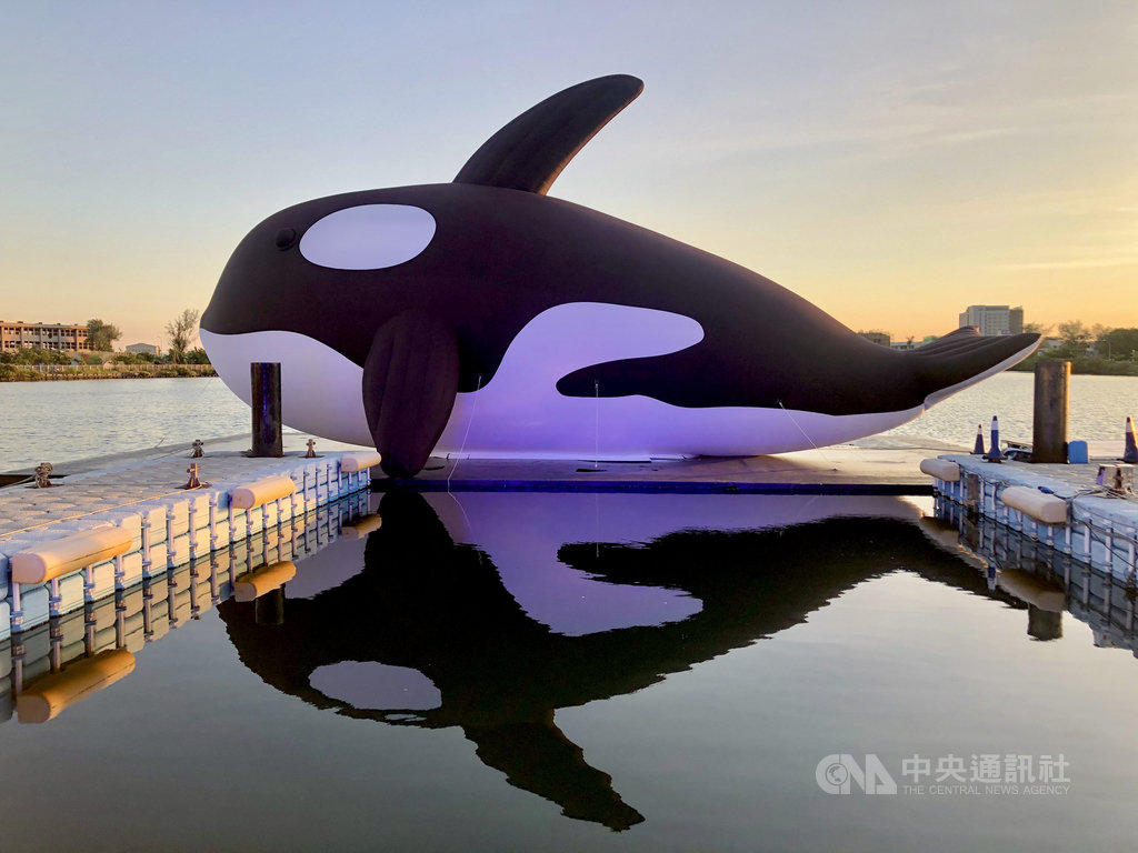號稱全球最大虎鯨裝置藝術的「安平虎鯨Orca」15日在台南安平水景公園亮相,並將舉辦夏日嘉年華活動。(KKDAY提供)中央社記者余曉涵傳真 109年7月15日