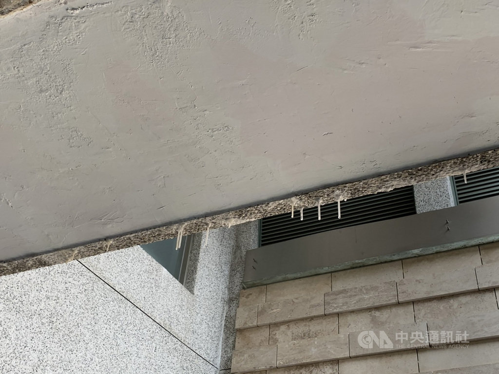 台中市議員江肇國等人接獲民眾陳情,前往市政公園地下停車場勘查,發現不只多處積水、地板損壞、天花板有滲水水漬,甚至還出現「滴水鐘乳石」奇景,批評市府作業怠慢,應盡快修復。(民眾提供)中央社記者趙麗妍傳真 109年7月15日