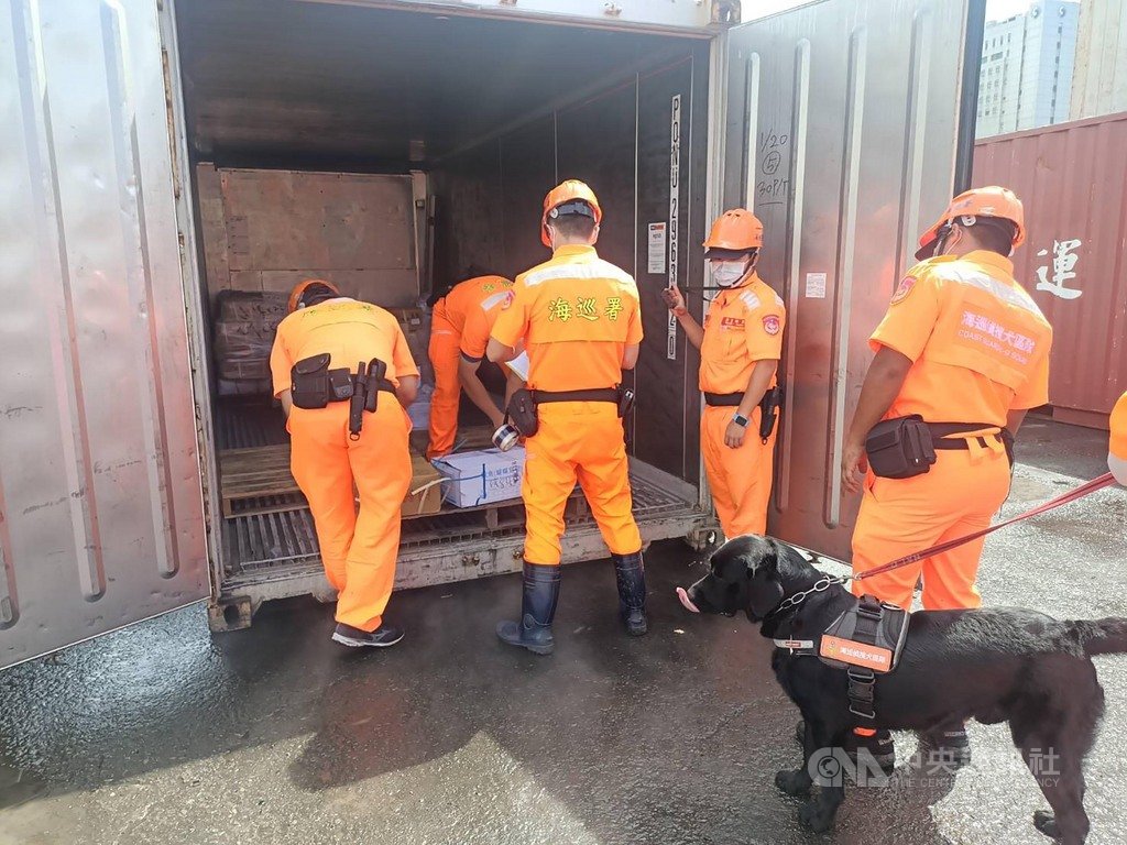 金門地區日前確診國內首例牛節結疹案例,海巡署南部分署第五岸巡隊16日啟動防疫機制,針對金門、高雄往返貨輪強化檢查,並出動偵搜犬投入防疫檢查工作。(海巡署提供)中央社記者陳朝福傳真 109年7月16日