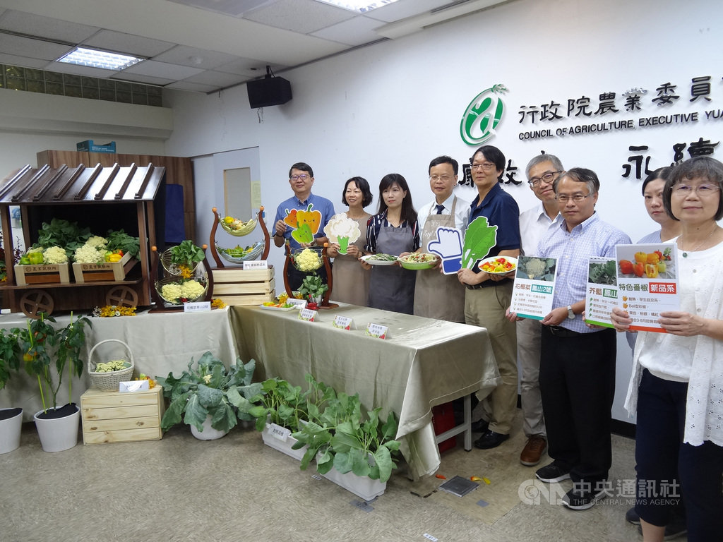 農委會農試所費時多年育成3種耐熱作物，包括新品種芥藍「鳳山1號」、新品種花椰菜「鳳山2號」及全球首創耐熱特色番椒，22日發表。中央社記者楊淑閔攝　109年7月22日