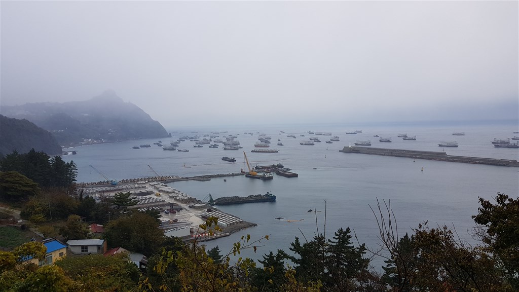 中國有大約20萬到80萬艘漁船在全球各地,有些遠達阿根廷,規模堪稱無人能敵。圖為數十艘中國漁船停泊在南韓鬱陵島的港口。(非法海洋計畫提供)