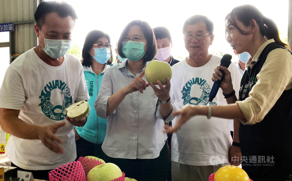 總統蔡英文(前左2)24日在嘉義縣長翁章梁(前左1)、民進黨立委陳明文(前左3)等人陪同下,參觀竹崎鄉果園,並推廣嘉義縣農特產品,對品嚐過的竹崎蜜雪梨印象深刻。中央社記者黃國芳攝 109年7月24日