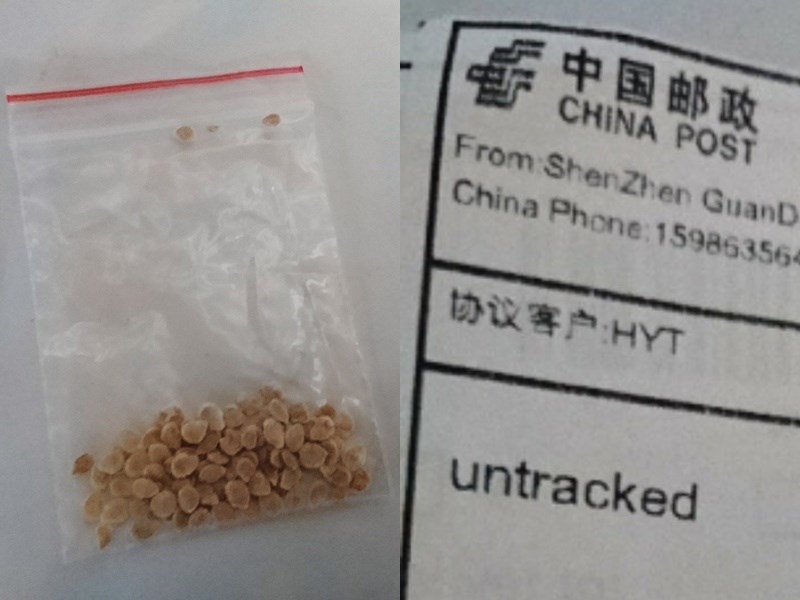 繼美國和加拿大後,日本也傳出有民眾收到疑似來自中國的可疑種子包裹。(圖取自twitter.com/JURIJURINKO)