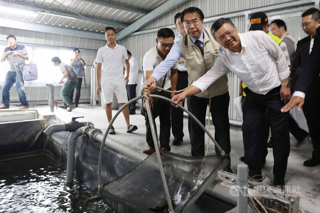 台鹽綠能與漁民合作在台南市北門區建立的智慧漁電共生溫室大棚及養殖數位分身示範基地」4日揭牌,董事長陳啟昱(前右)與台南市長黃偉哲(前右2)出席。中央社記者楊思瑞攝 109年8月4日