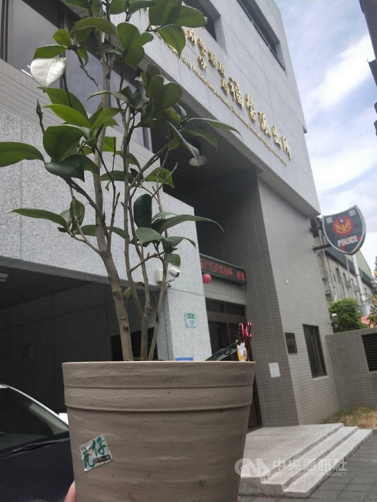有民眾日前在臉書社團貼文表示,灑有已死亡愛犬骨灰的盆栽遭竊,向新莊分局福營派出所報案,因受理案件的員警也是愛狗人,積極偵破讓盆栽物歸原主,非常感謝警方。(翻攝照片)中央社記者王鴻國傳真 109年8月9日