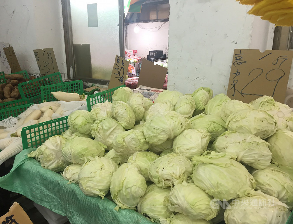 颱風米克拉引發預期心理效應,農委會官網顯示,最容易受颱風豪雨影響的葉菜類,11日在台北果菜批發市場的整體交易均價較1日漲約4成,其中高麗菜交易均價每公斤新台幣24.9元,也比1日的19.3元貴3成。不過市場零售價沒有太大變動,走訪傳統市場,每台斤25到29元不等,每顆約70多元。中央社記者楊淑閔攝 109年8月11日