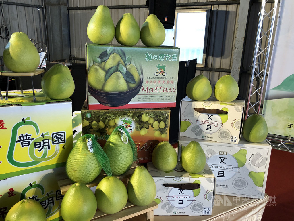 台南文旦8月中下旬將進入產季,今年首櫃銷往加拿大多倫多,也讓台南鮮果挑戰最遠航距,首次橫跨北太平洋到多倫多的大統華超市。(台南市政府提供)中央社記者張榮祥台南傳真 109年8月11日