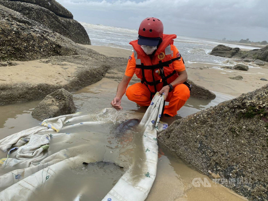 金門縣金湖鎮成功海堤岸際沙灘發現一隻活體小型海豚,岸巡人員前往救援,相關單位人員完成鯨豚初步照護後帶回水試所,待日後恢復體力再海放。(金門岸巡隊提供)中央社記者黃慧敏傳真 109年8月11日