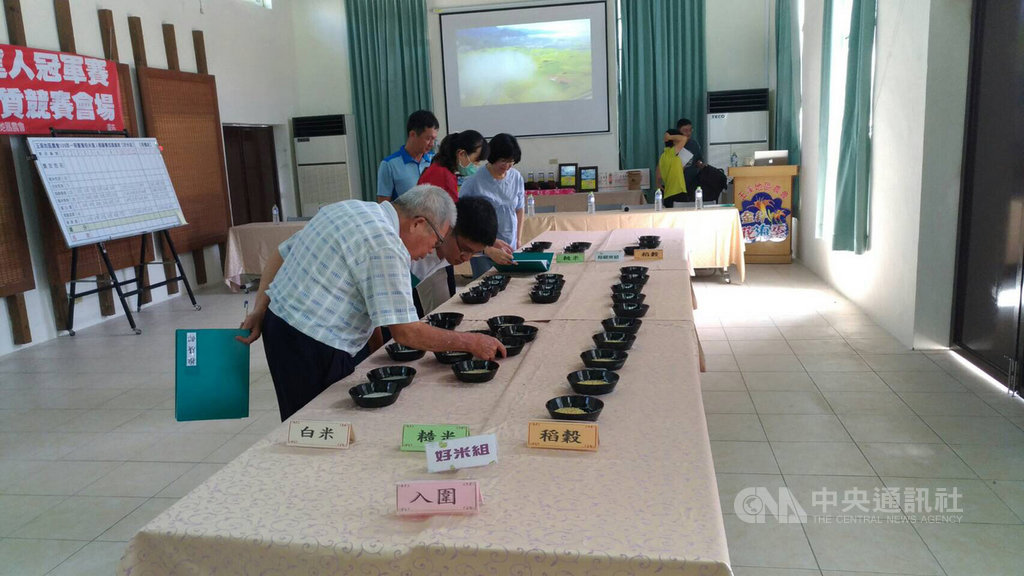 花蓮玉溪地區農會12日在農會推廣教育中心舉辦109年一期台灣稻米達人鄉鎮冠軍賽,由專家學者進行外觀判定及食味官能評比。中央社記者李先鳳攝 109年8月12日