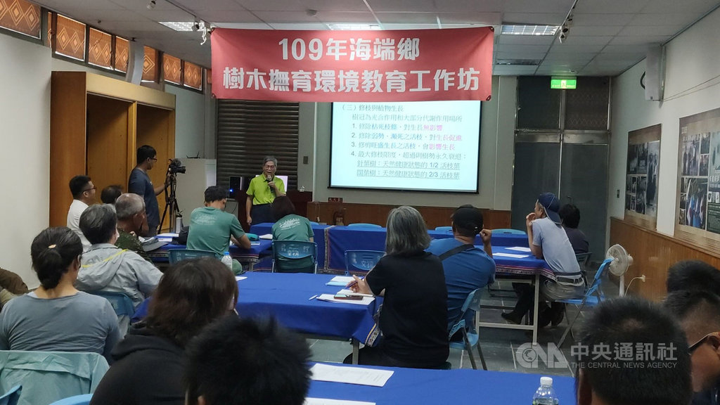 台東縣海端鄉13日起一連兩天舉辦「109年海端鄉樹木撫育環境教育工作坊」,邀專家學者與會分享正確樹木撫育觀念、建立樹木修剪撫育原則與做法,提倡正確的生態環境意識。中央社記者盧太城台東攝 109年8月14日