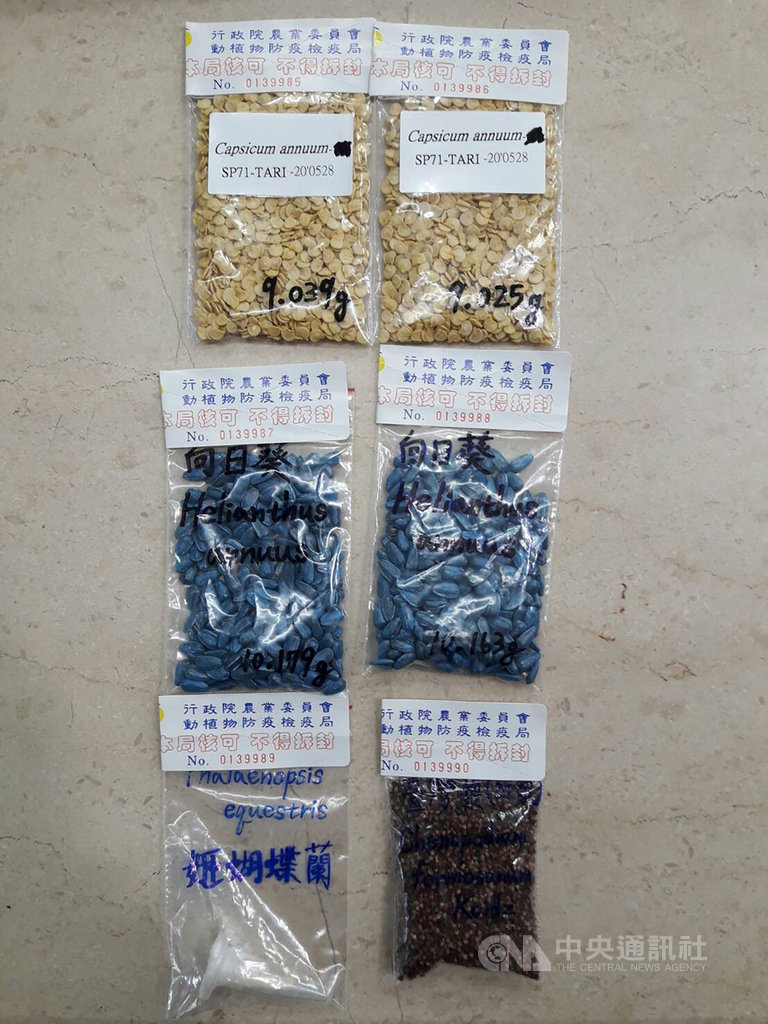 國立中興大學與農試所選送4種種子,10月將搭上補給物資給太空人的太空船前往國際太空站;種子將在太空站放置幾個月,預計110年2月重返地球送回台灣,屆時由中興大學與農試所實際栽種,探討太空微重力、高輻射的環境對於種子生長的影響。(中興大學提供)中央社記者趙麗妍傳真 109年8月17日