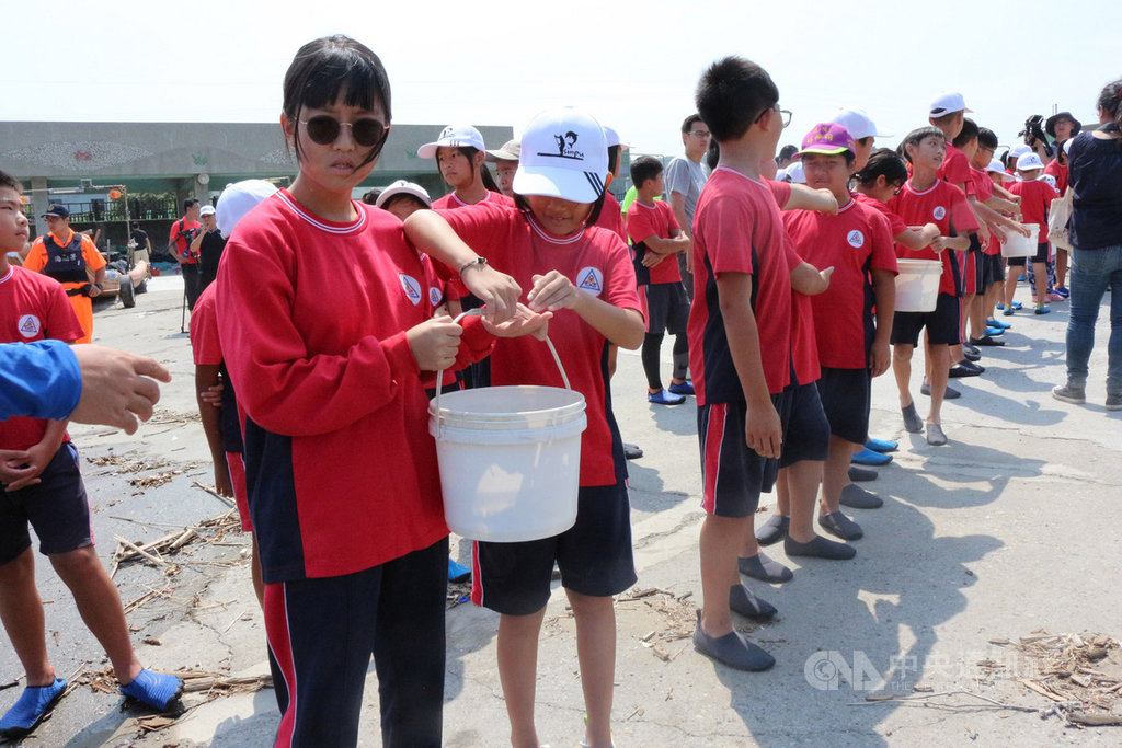 響應國際慢魚運動,苗栗縣政府2日在通霄鎮新埔漁港舉辦魚苗放流活動,新埔國小師生總動員參與接力,將約1萬尾的烏格(俗稱黑鯛)放流至大海,進行海洋生態教育。中央社記者管瑞平攝 109年9月2日