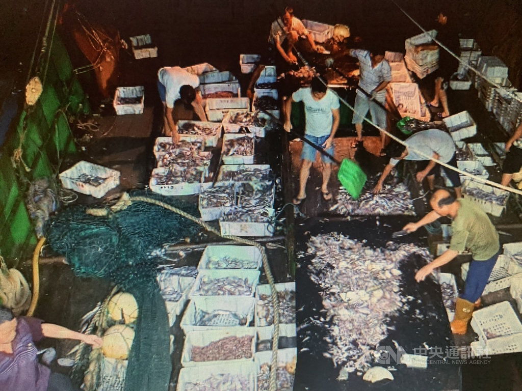 一艘中國籍漁船3日越界到苗栗外海捕魚,台中海巡隊獲報後派遣巡防艇與金門艦登檢,查扣漁獲約300公斤,全數依法海拋,並將人船押返台中港偵辦。(台中海巡隊提供)中央社記者蘇木春傳真 109年9月4日