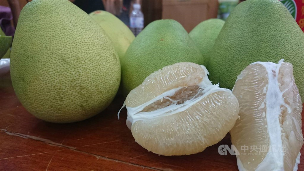 農委會為促銷文旦推出限量3萬張「柚香禮券」,截至10日已有部份地區禮券登記完畢,農委會正規劃第二波促銷活動。圖為台東文旦柚。(中央社檔案照片)
