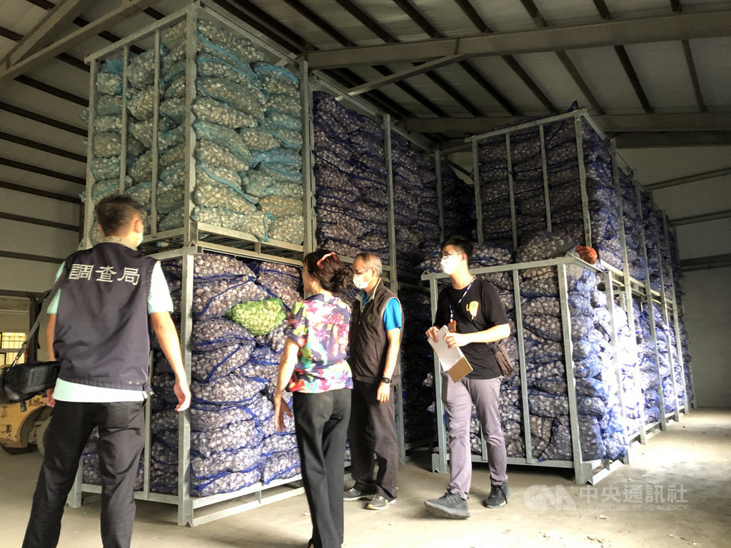雲林縣調查站11日會同農業處執行行政稽查,發現林姓蒜商等2人疑似操縱國內蒜價飆漲,倉庫囤積逾150多公噸蒜頭及案關帳冊等物品,已帶回相關資料釐清是否有哄抬價格從中牟利。(雲林縣調查站提供)中央社記者姜宜菁傳真 109年9月12日