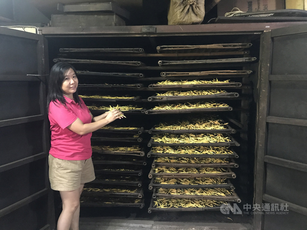 在花蓮玉里鎮赤科山種植金針花的黃怡瑄(圖),多年前與先生李錦智捨棄高薪工作返鄉務農,採有機種植,也是少數保留傳統柴燒烘乾金針工法的金針花農。中央社記者張祈攝 109年9月12日