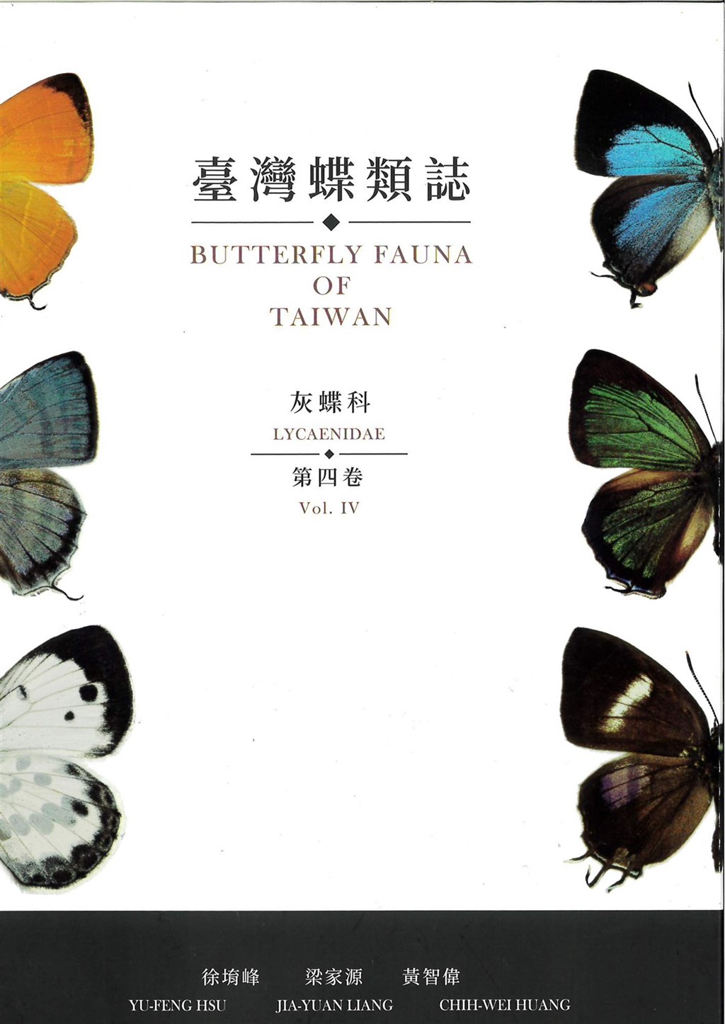 為讓民眾與世界看見台灣珍貴蝴蝶資源與蝴蝶科學研究傑出表現,林務局策劃出版「臺灣蝶類誌」套書,日前發行了第四卷灰蝶科,當中編錄120種蝴蝶(含亞種有130種)。(林務局提供)中央社記者吳欣紜傳真 109年9月12日