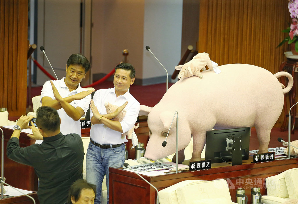 台北市長柯文哲17日下午赴議會進行施政報告並備質詢,以國民黨籍為主的議員們現場搬出大、小豬公模型,表達「捍衛食安,拒絕萊豬」等訴求。圖為部分議員在豬公模型前比出大叉手勢留影。中央社記者郭日曉攝 109年9月17日