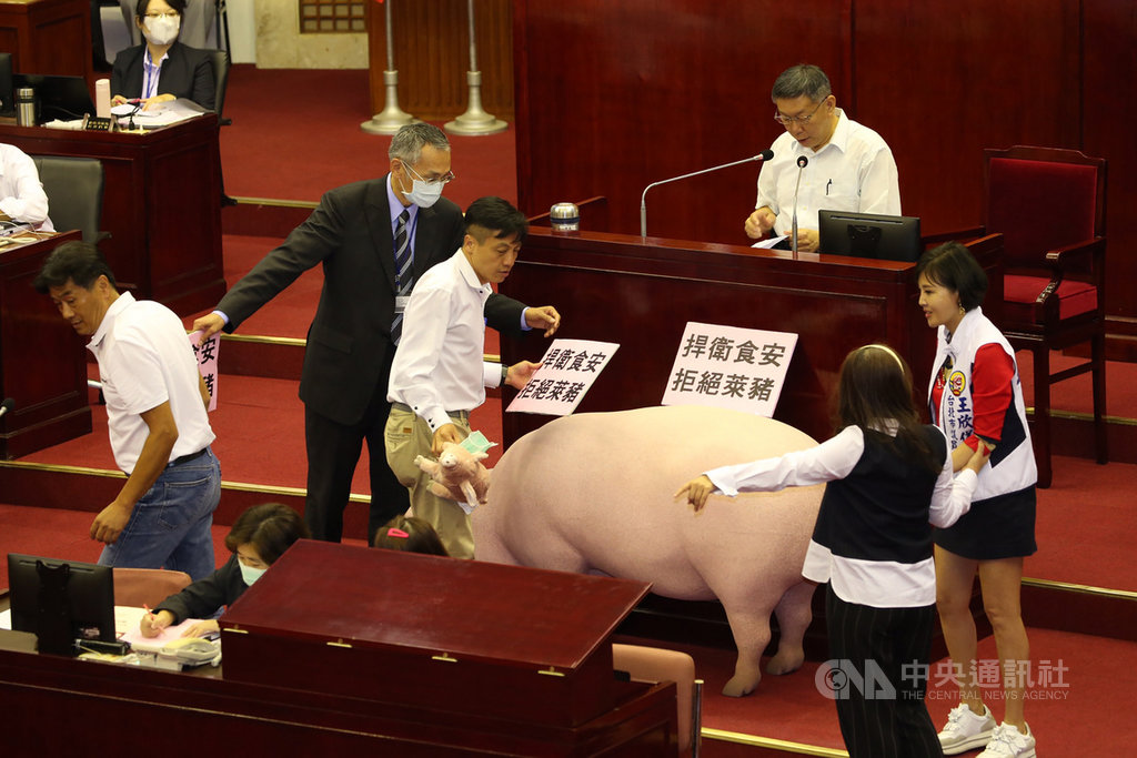 台北市長柯文哲(後右)17日下午赴台北市議會施政報告與接受質詢,多名議員準備大豬公道具,要求柯文哲表態願捍衛食安、拒絕萊豬。中央社記者郭日曉攝 109年9月17日