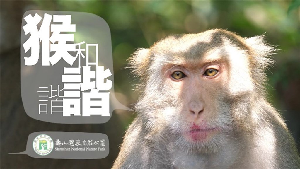 國家自然公園管理處委外拍攝「猴諧和諧」宣導影片受好評,經報名參加「第53屆休士頓國際影展」,榮獲雷米白金獎的殊榮。(壽山國家自然公園籌備處提供)中央社記者王淑芬傳真 109年9月17日