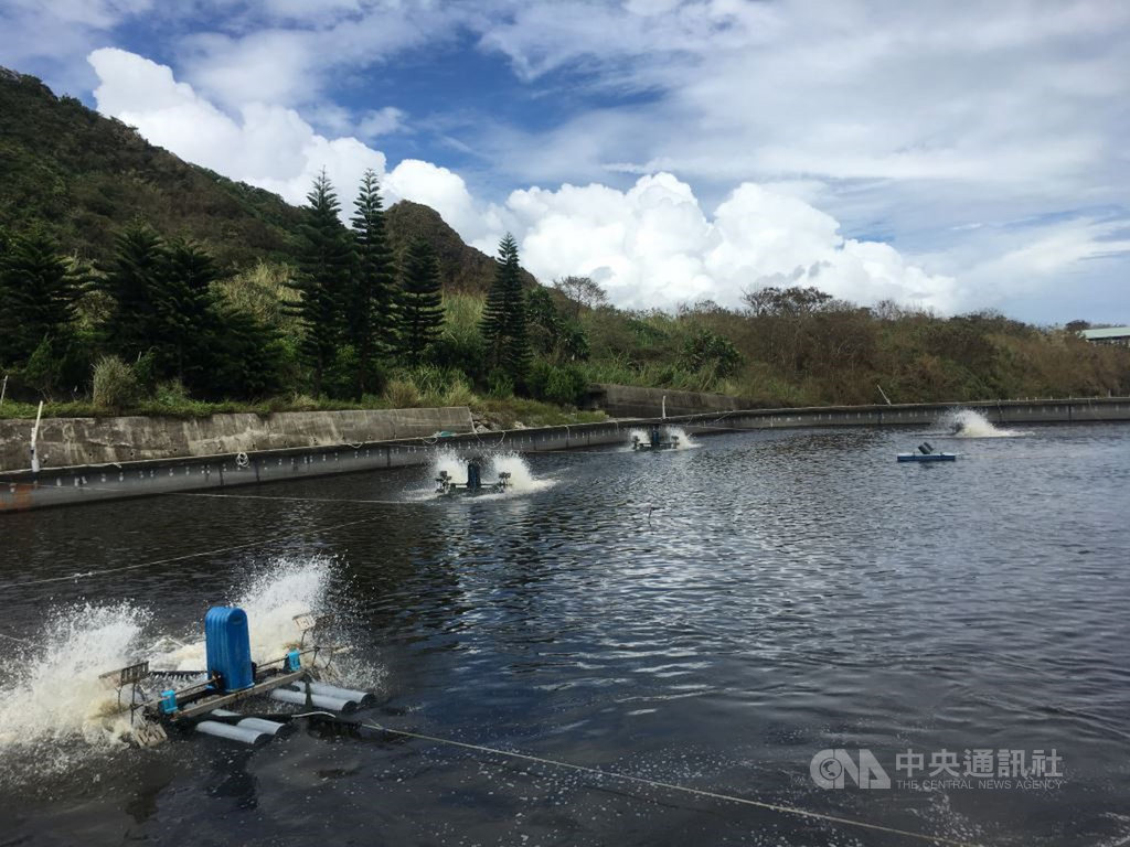 台東養殖漁業專區位於台東市建農里的國家水產種原庫與利嘉溪之間的海岸,縣府向退輔會申請土地使用獲同意,將啟動專區第1期43公頃的公共建設,包括海水供水系統、道路及排水工程的設置。(台東縣政府提供)中央社記者盧太城台東傳真 109年9月18日