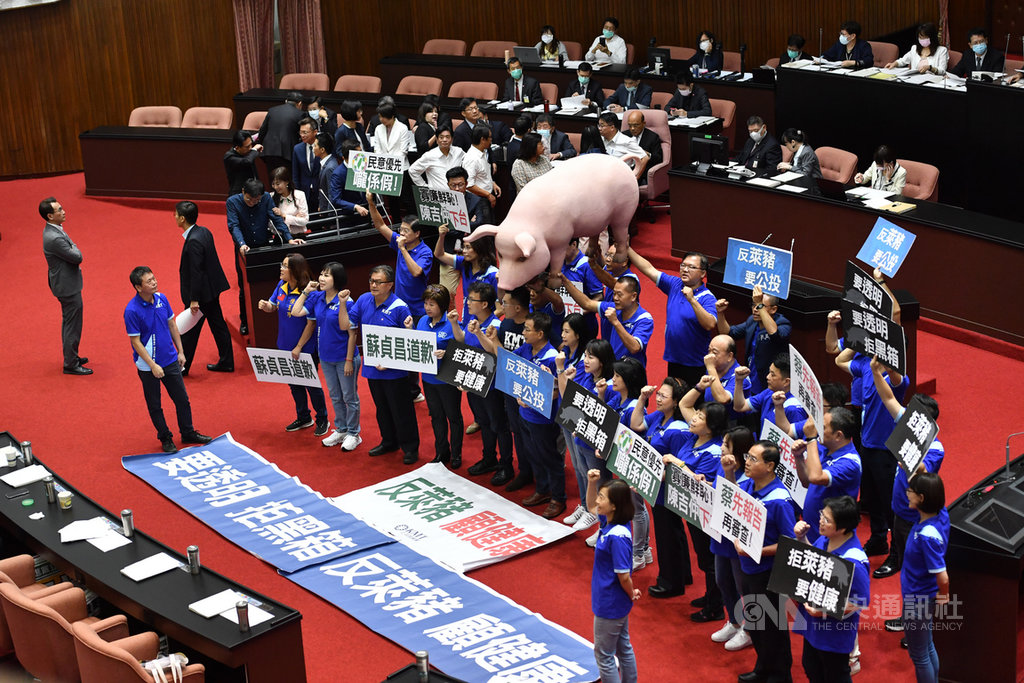 立法院18日開議,邀請行政院長蘇貞昌列席專案報告並備質詢。國民黨立法院黨團帶著道具豬進議場,抗議政府鬆綁萊劑美豬進口,並高呼口號「反萊豬 顧健康」。中央社記者王飛華攝 109年9月18日