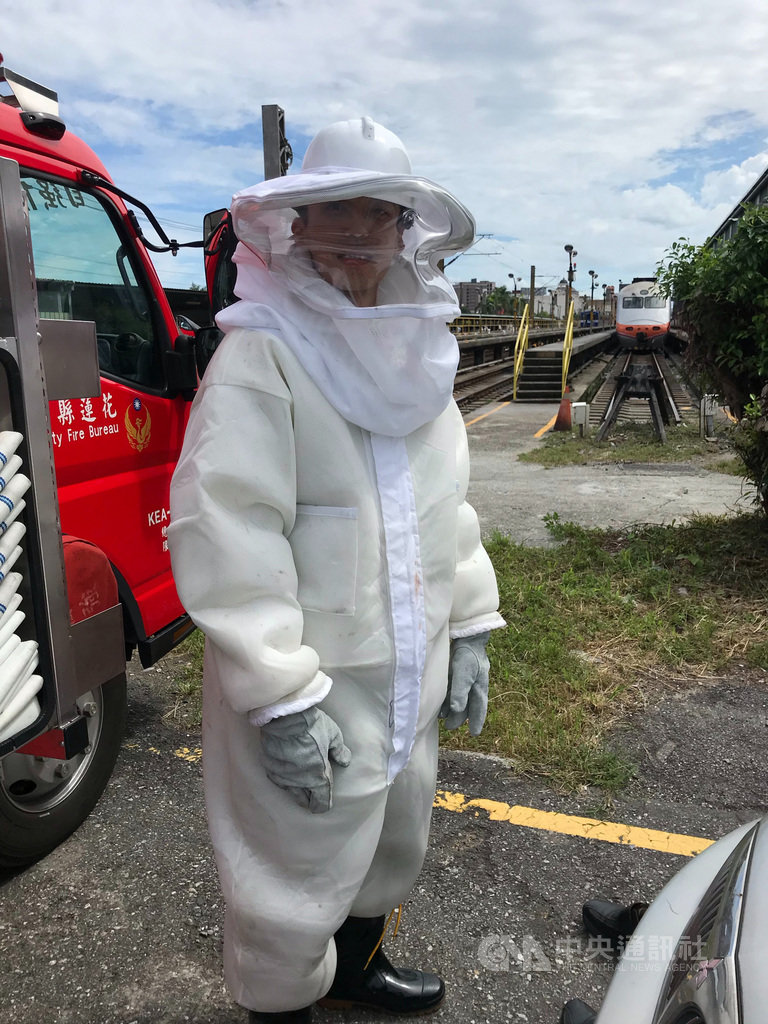 清明至中秋為除蜂案件旺季,花蓮縣消防局統計,今年4月5日至9月18日之間就有1445件次,占全年除蜂案件的69.47%。建議民眾從事農作或野外活動時應做好虎頭蜂防護措施。(花蓮縣消防局提供)中央社記者李先鳳傳真 109年9月20日