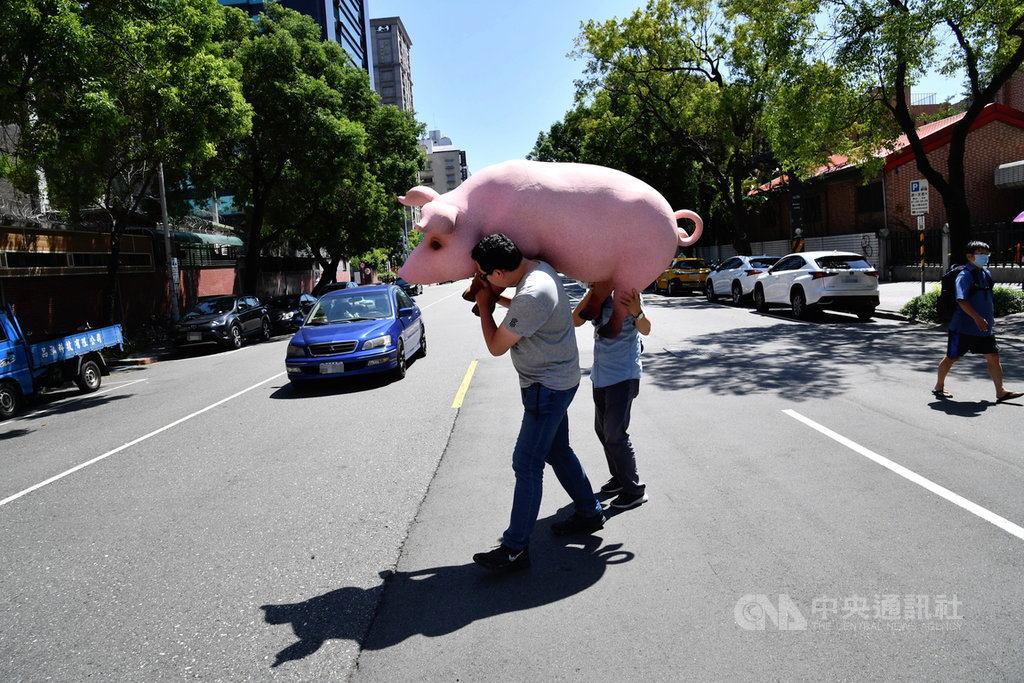 國民黨反對含萊克多巴胺美國豬肉進口發起公投,23日到中選會送出第一階段連署書,黨工將道具豬從中選會抬回立法院。中央社記者王飛華攝 109年9月23日