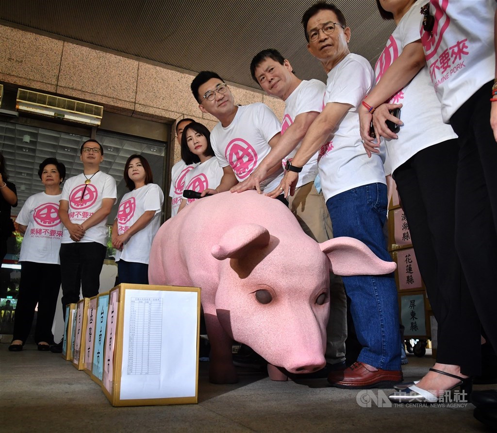 國民黨主席江啟臣(右3)、立法院黨團總召林為洲(右2)、革實院院長羅智強(左2)與黨籍立委23日前往中選會,送交「公投綁大選」、「顧食安公投」兩項公投提案第一階段連署書。中央社記者王飛華攝 109年9月23日